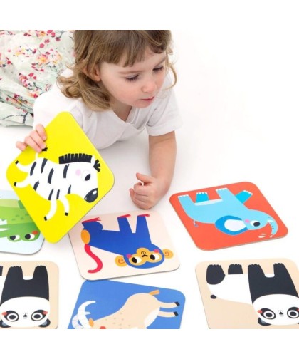 Banana Panda Memory Games Wild Animals
