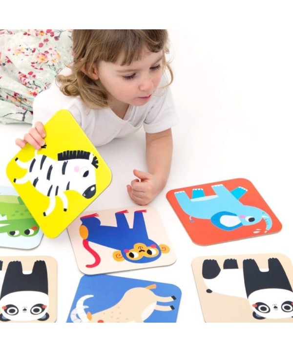 Banana Panda Memory Games Wild Animals
