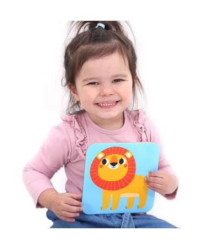 Banana Panda Memory Games Wild Animals