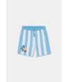 Bermudas Riscas Boboli