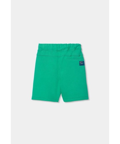 Bermudas Verde Água