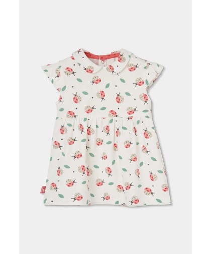 Boboli vestido joaninhas